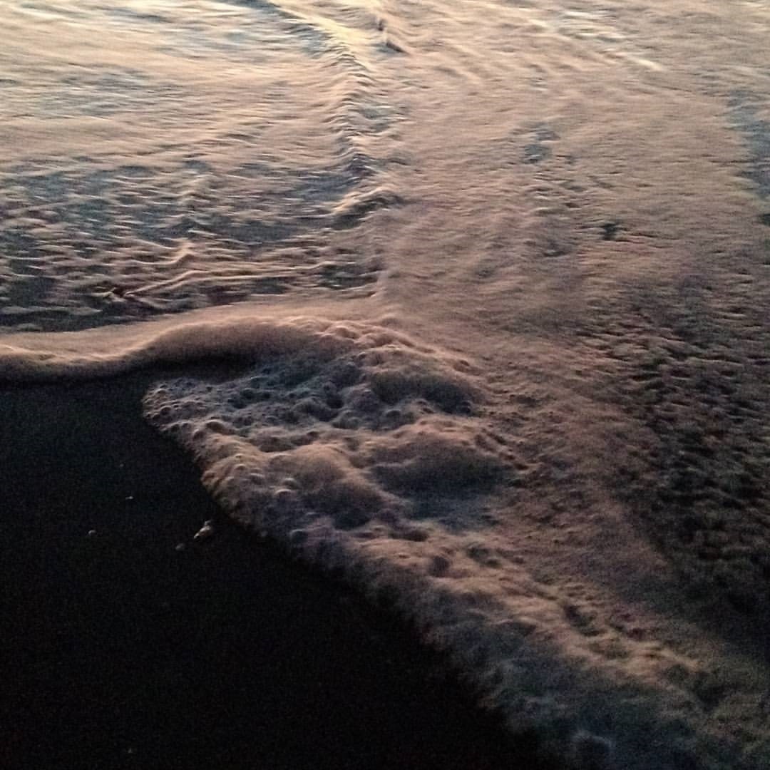 Ocean Surf Pawley's Island