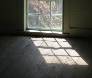 cropped-window-light-iii.jpg
