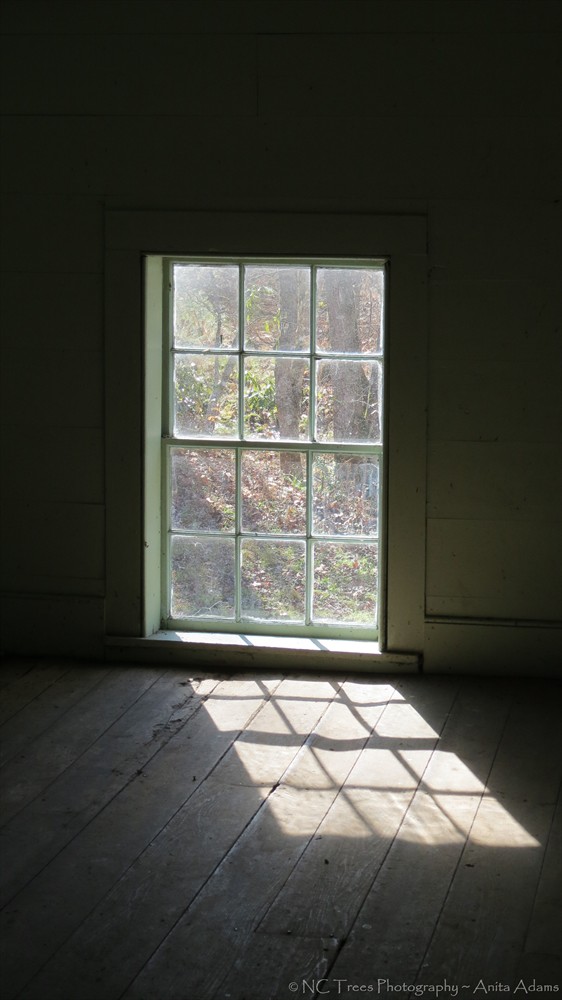 Window Light III