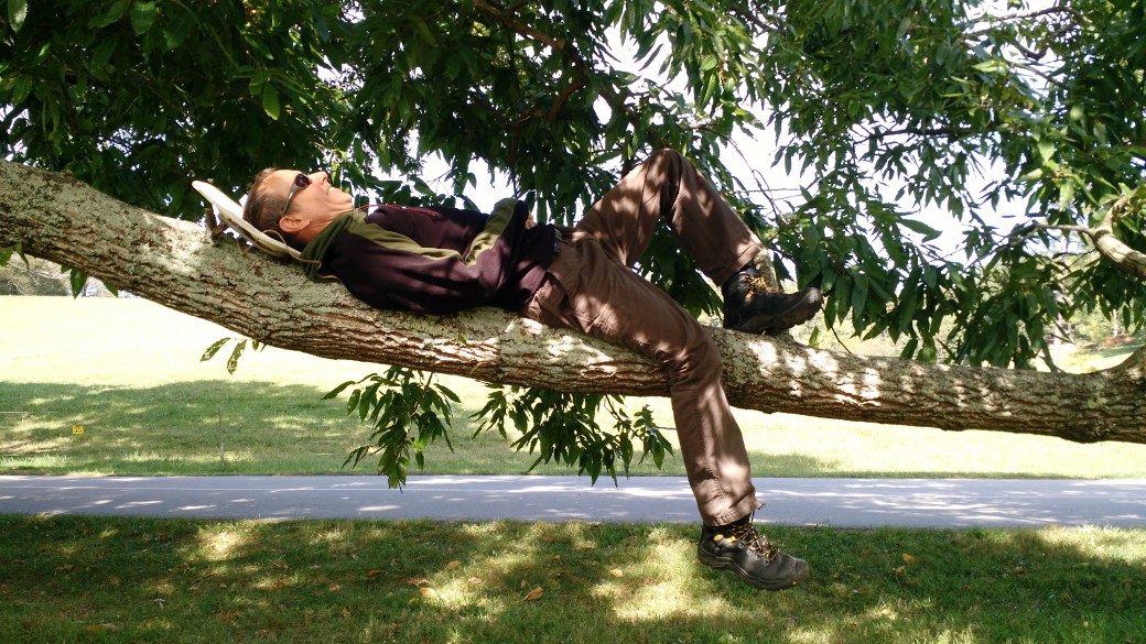 IMG_20171001_144435244