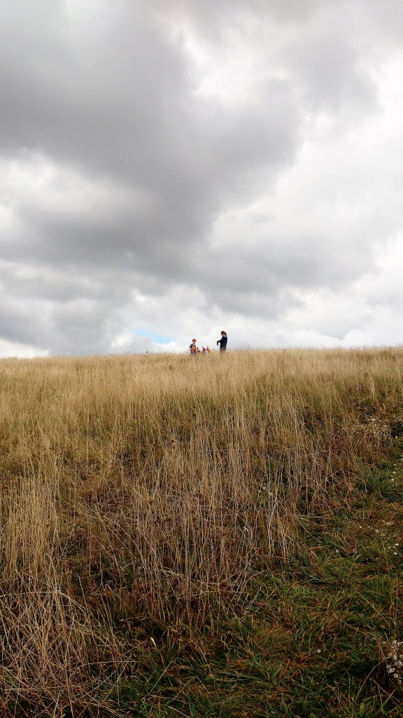 Max Patch Family Love