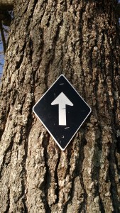 IMG_20171201_110931197