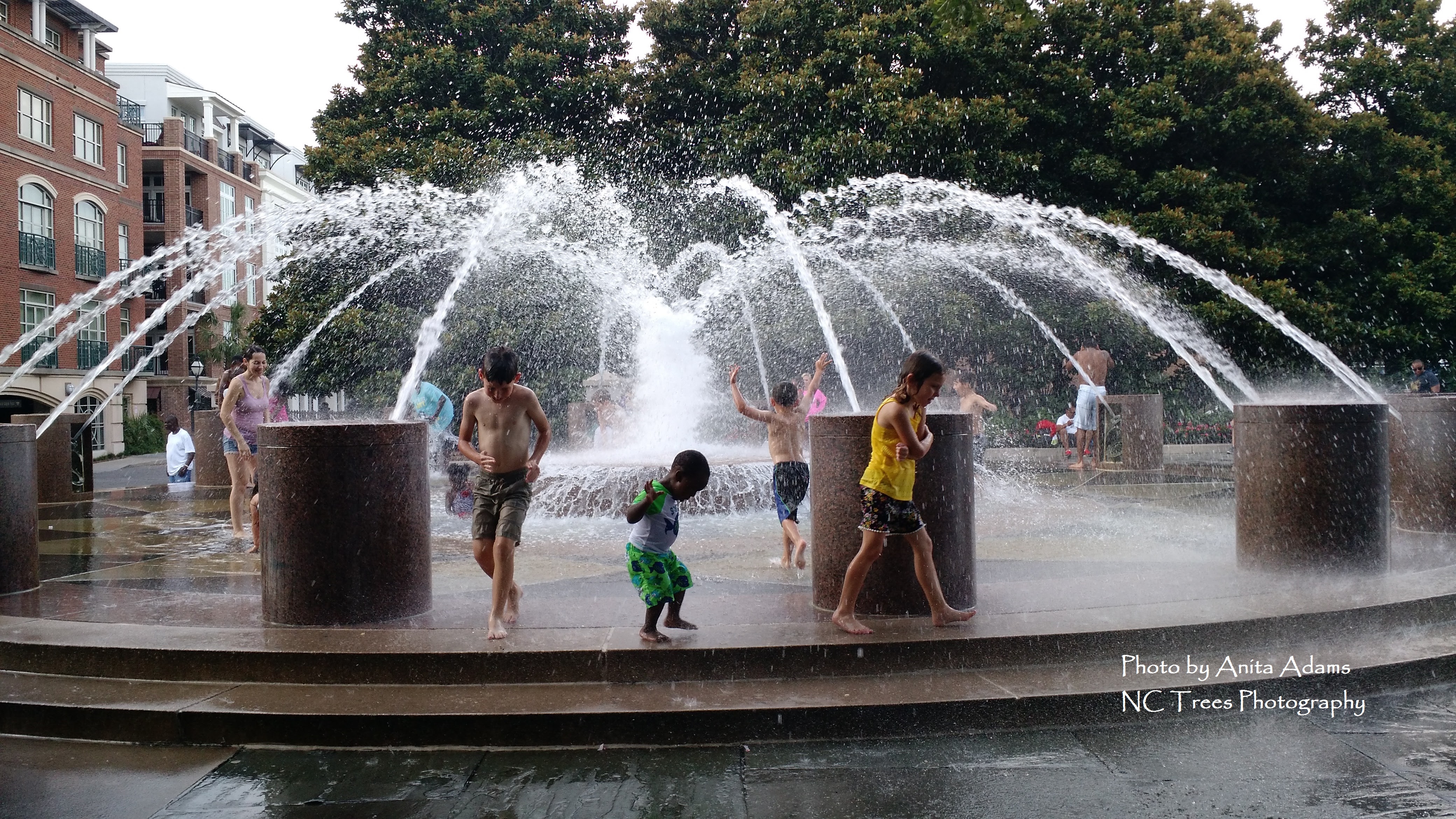 Signed - Children in Fountain Charleston SC