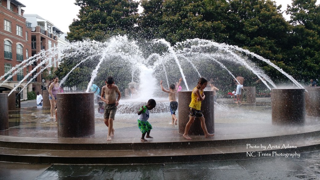 Signed - Children in Fountain Charleston SC