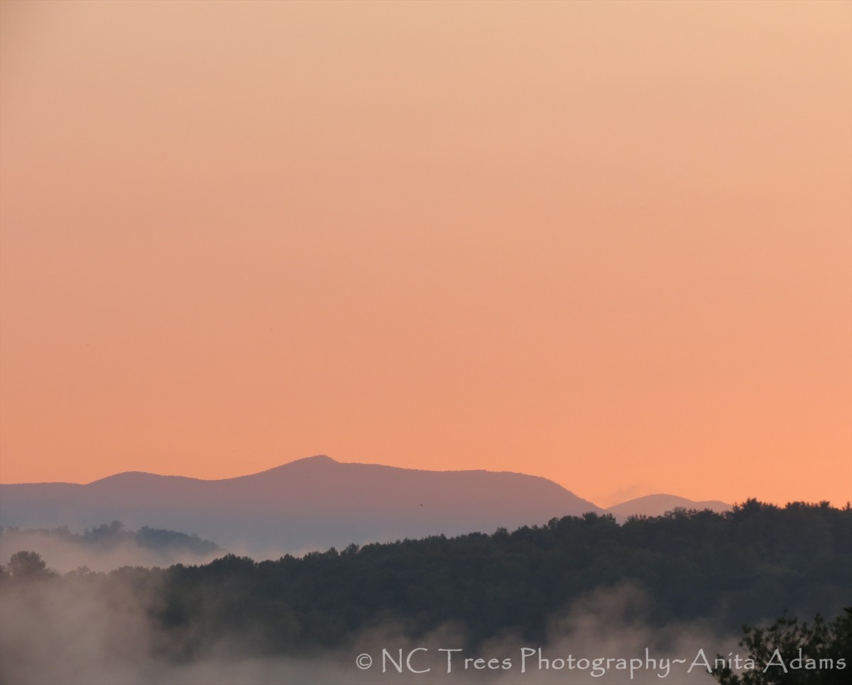 Tangerine skies over the Blue Ridge Mountains of Western North Carolina. Photographer: Anita Adams of NC Trees Photography