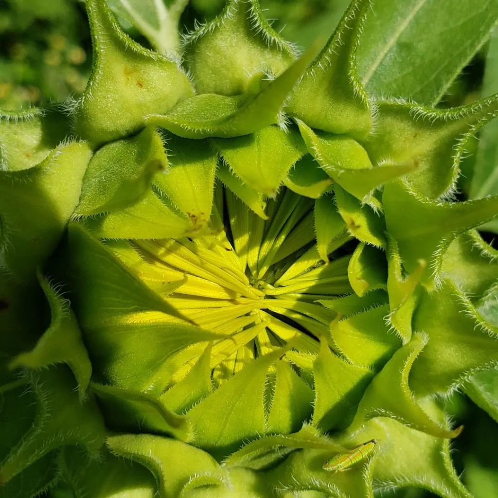 What does 'Stillness' look like to you?