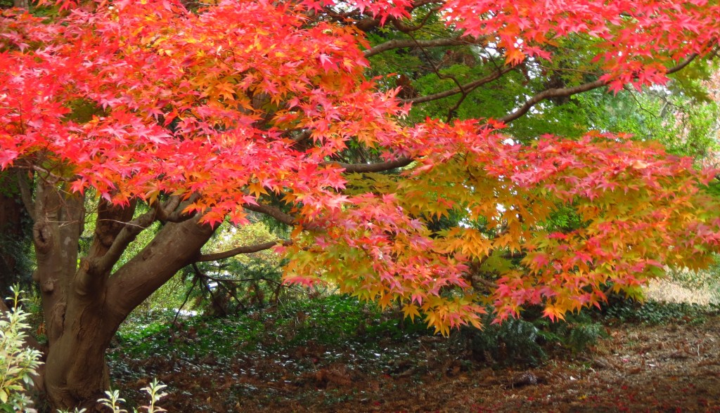 Grief may be a necessary part of the human existence... and we all experience and express it in different ways. I thank you for sharing mine with me. Praying for all.